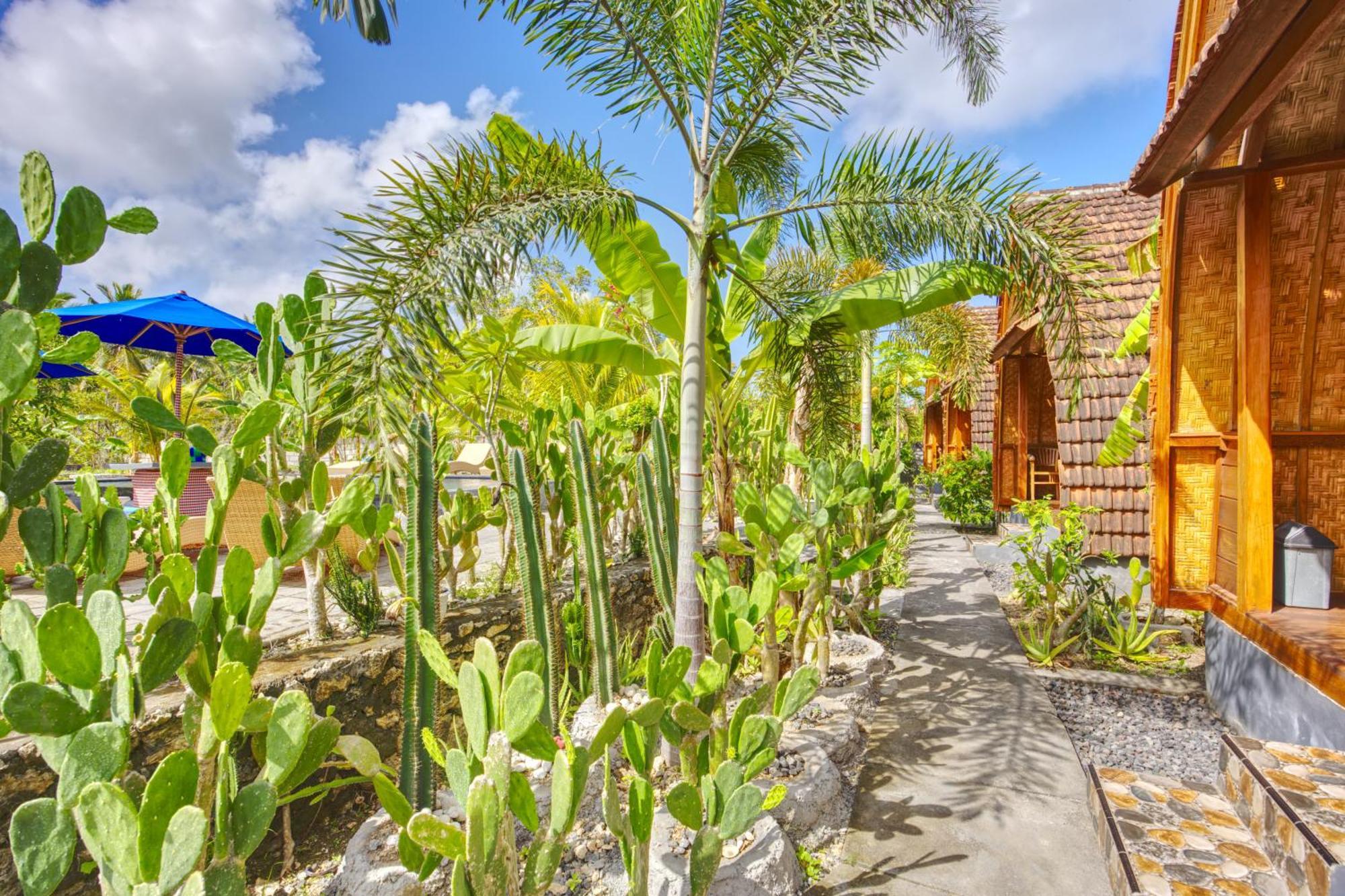 Kira Cottages Sakti 外观 照片